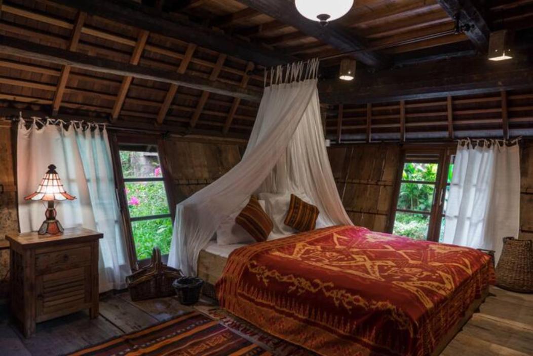 Lodge Jungleroom *