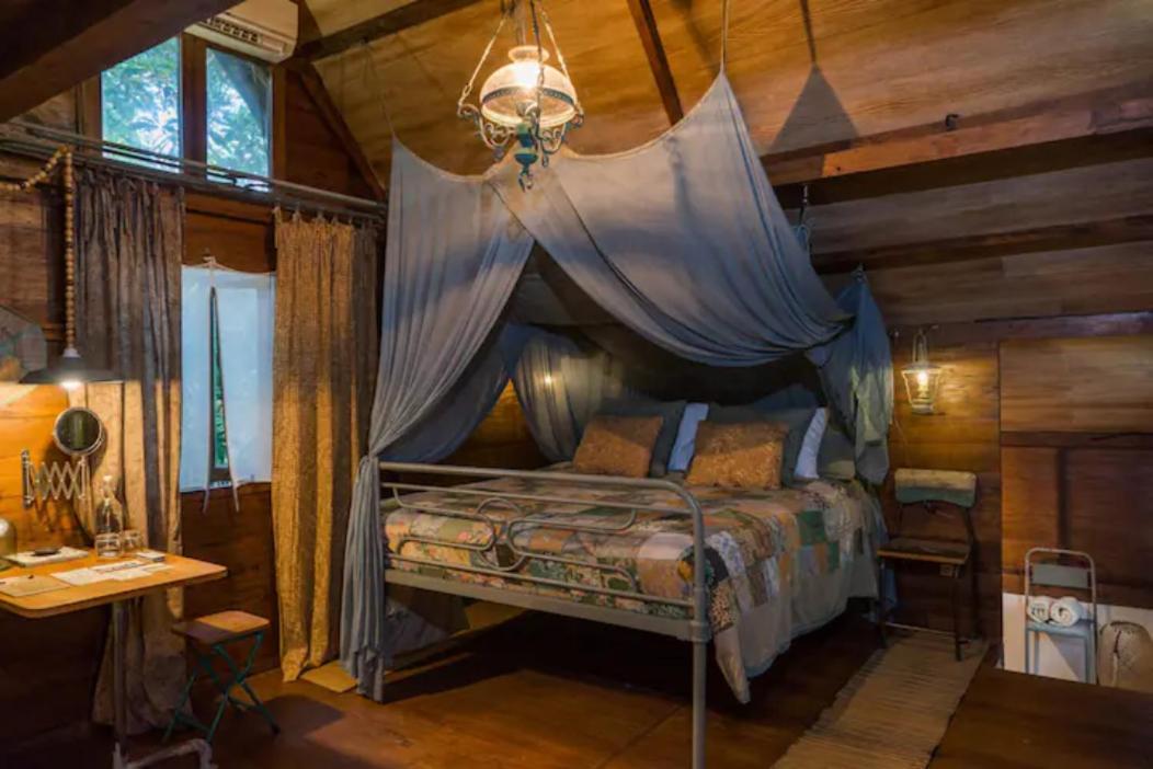 Jungleroom
