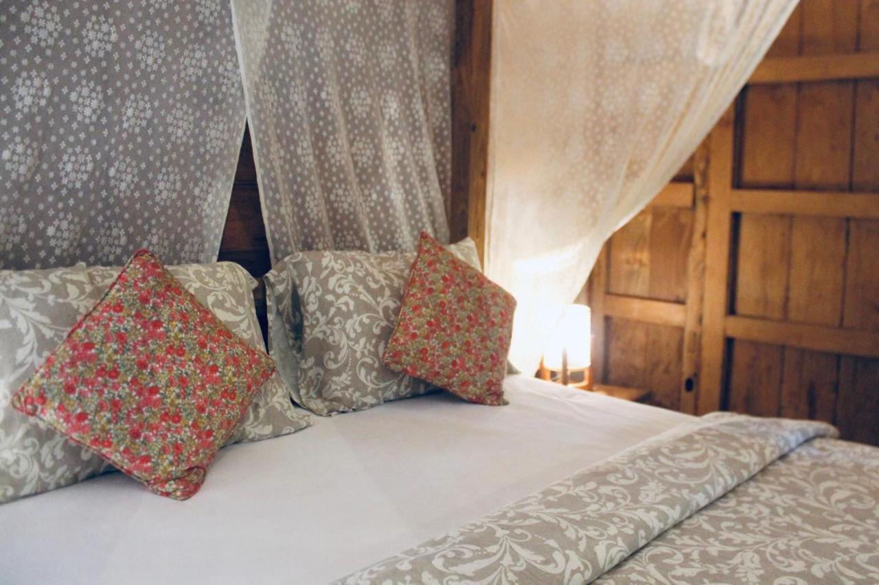 Jungleroom *