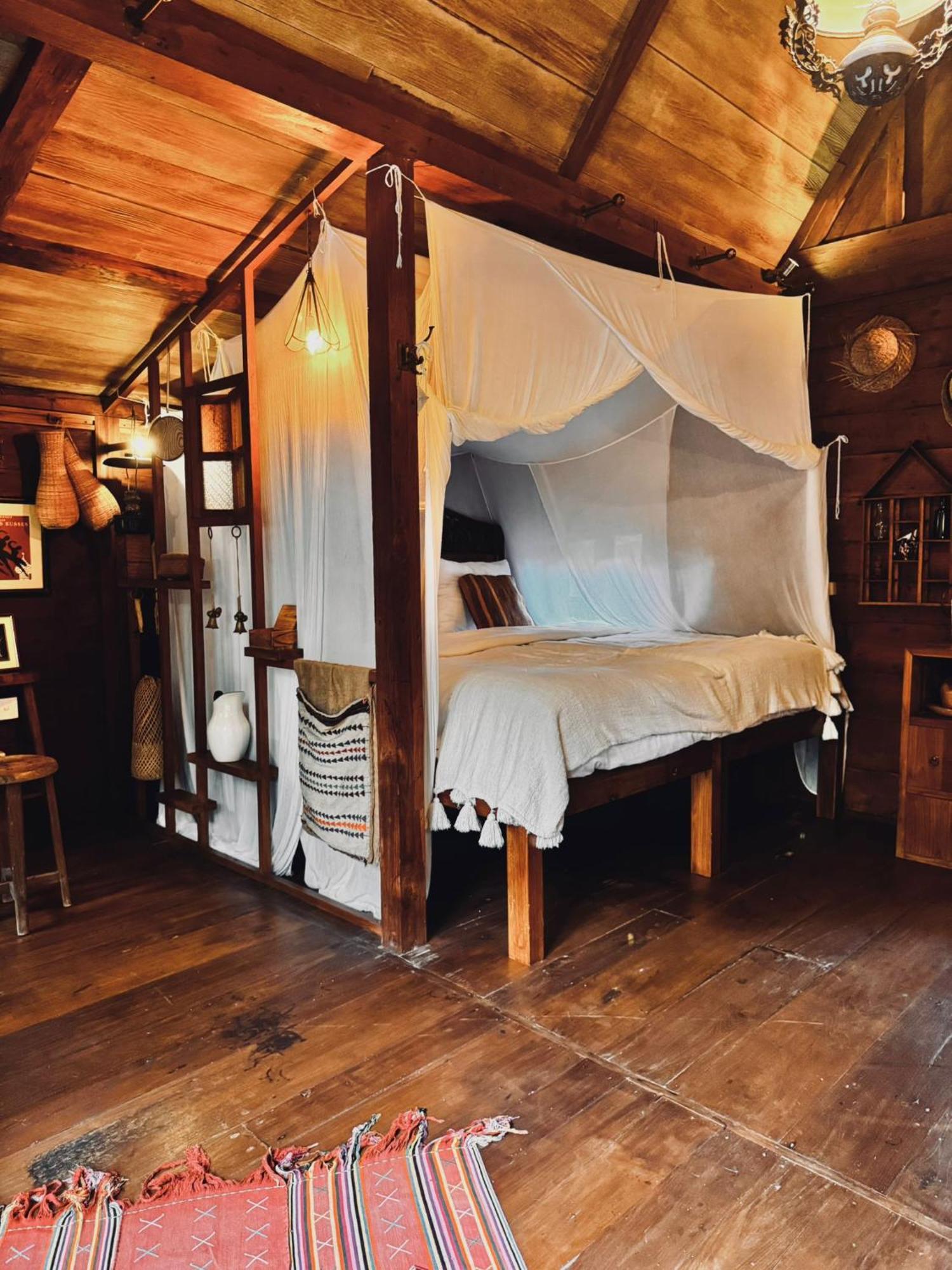Jungleroom Lodge *